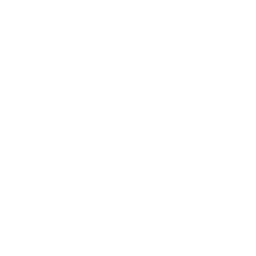 Aussienomics